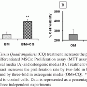 Cissus Quadrangularis Prevents Osteoporosis