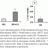 Cissus Quadrangularis Prevents Osteoporosis