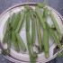 How To Take Cissus